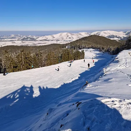 Daire Positiv Lux & *